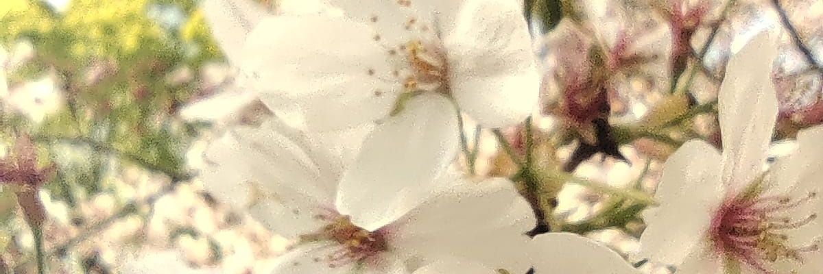 fbeiner79's profile banner image