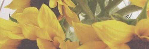 KendallMarkovic's profile banner image