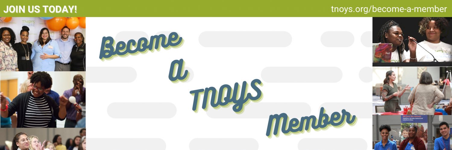 Texas Network of Youth Services (TNOYS) banner