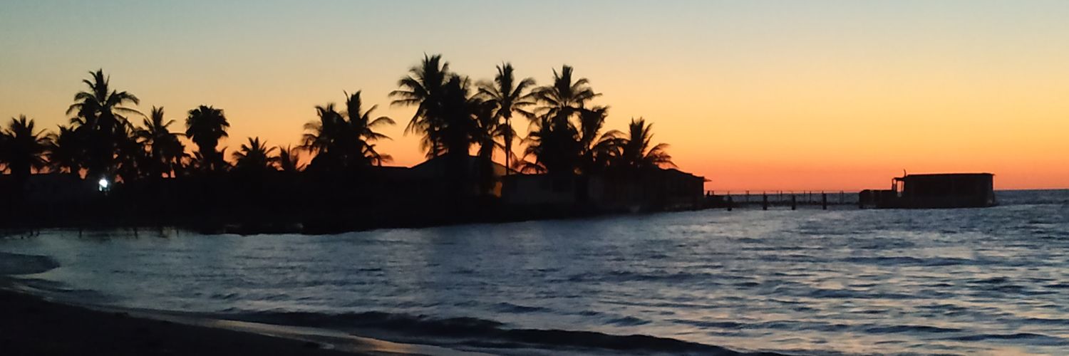 aniel2910's profile banner image