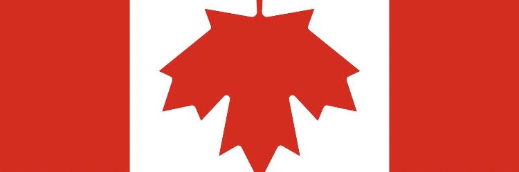 thelancerone's profile banner image
