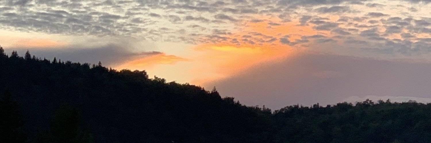 Laura Hawryluck banner