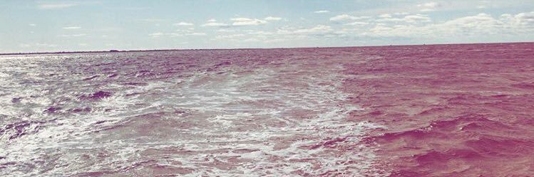 BriFosdal's profile banner image