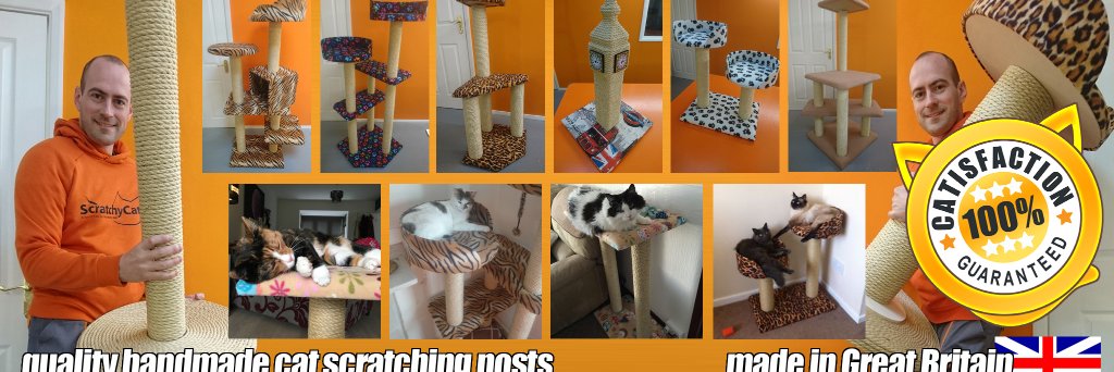 ScratchyCatsUK's profile banner image