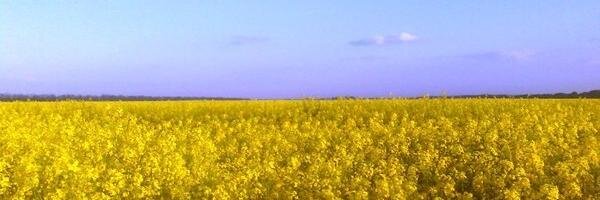 SwetaZlaya's profile banner image