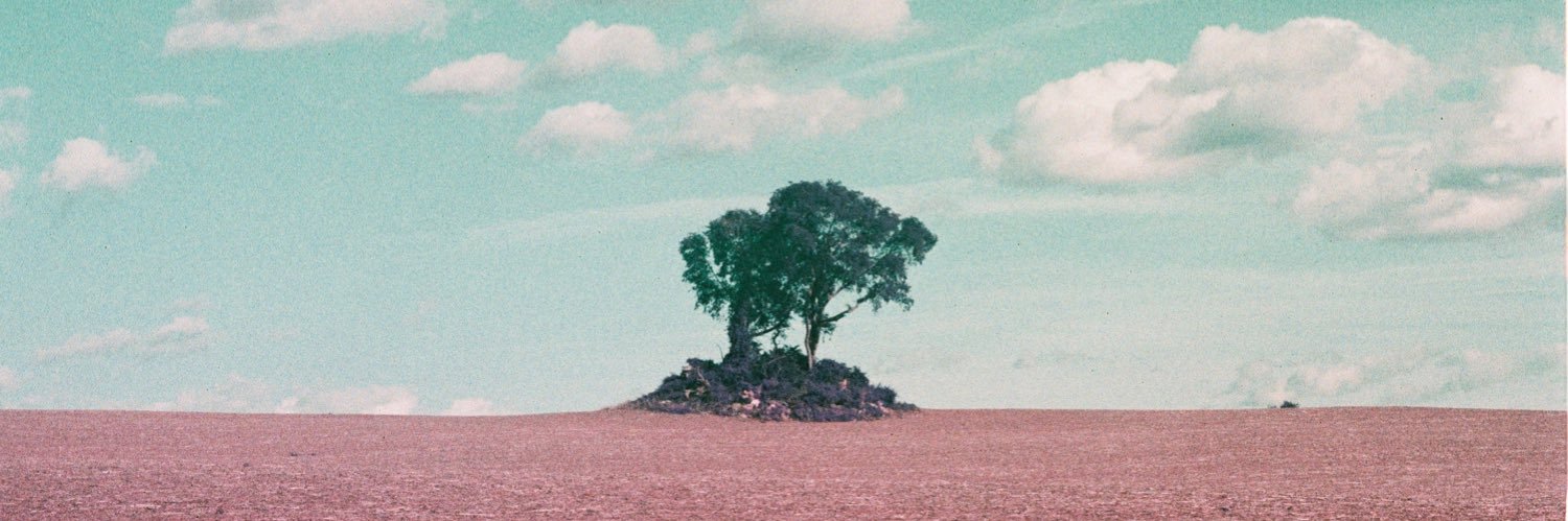 ʙᴇᴄᴋʏ ʙᴇx banner