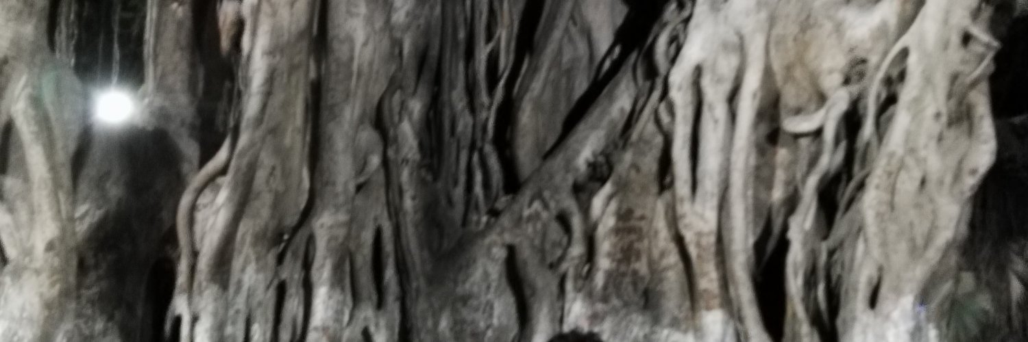limalimai's profile banner image