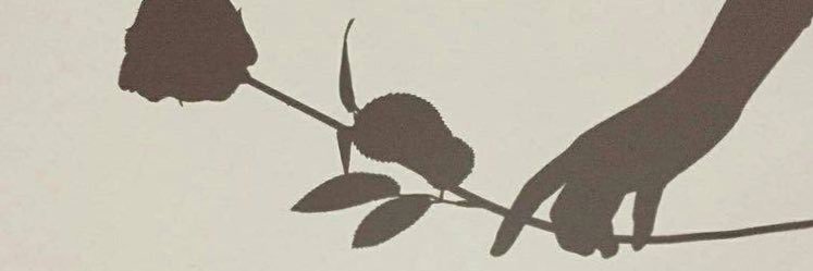2xNNNNN's profile banner image