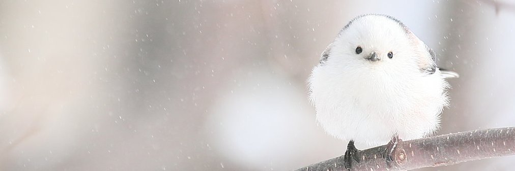 Akinom1zu's profile banner image