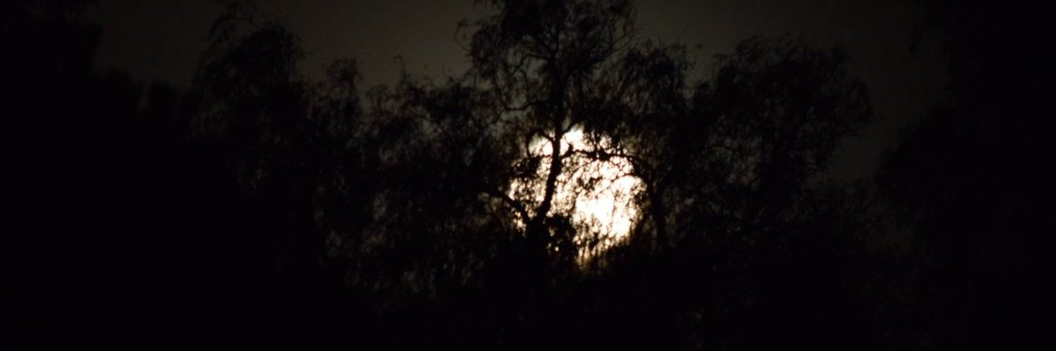 Jaseplay1986's profile banner image