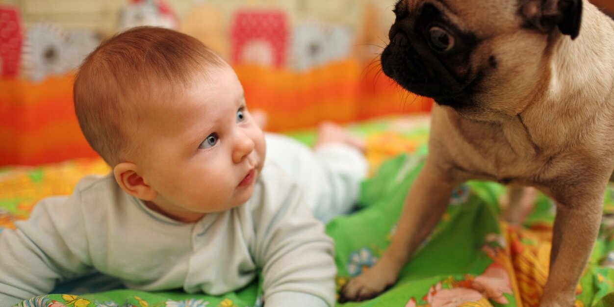 QVV : QueVoulezVous banner