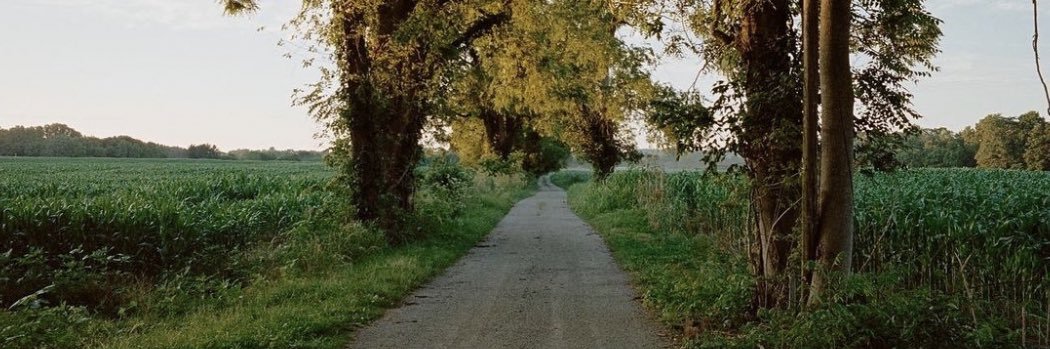 abbeylakeman's profile banner image