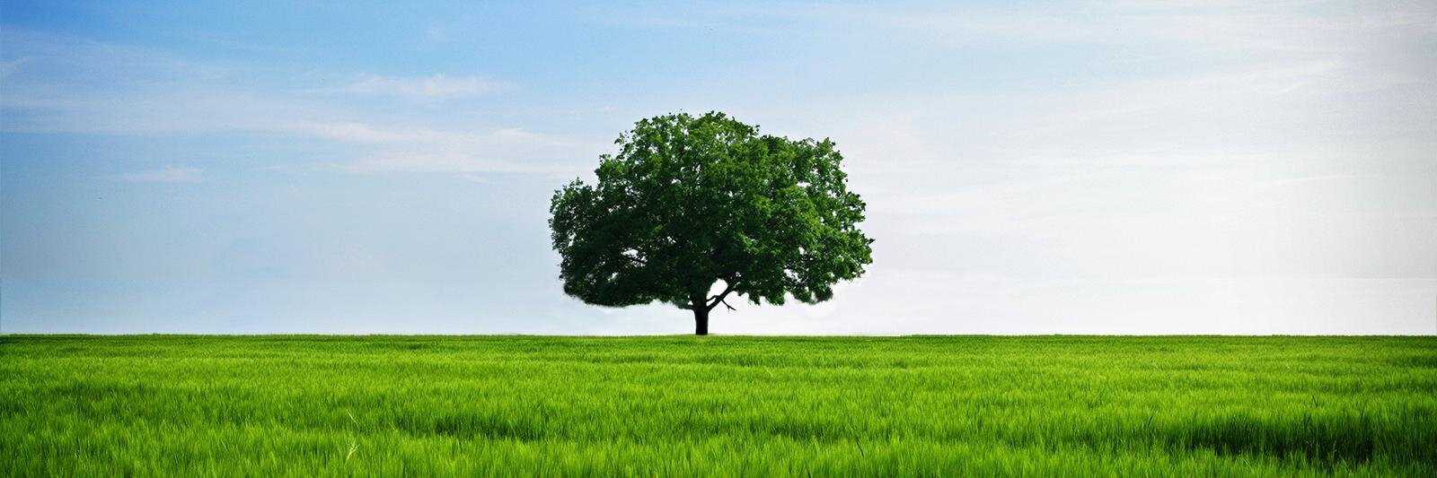 teodyseguin's profile banner image