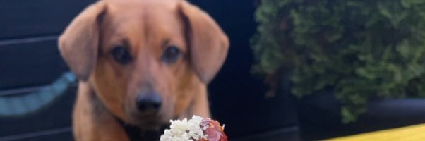 AmyDrozda's profile banner image