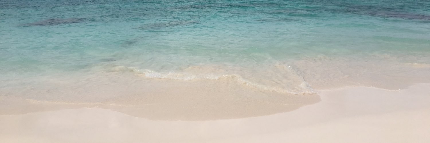 reaganashh's profile banner image