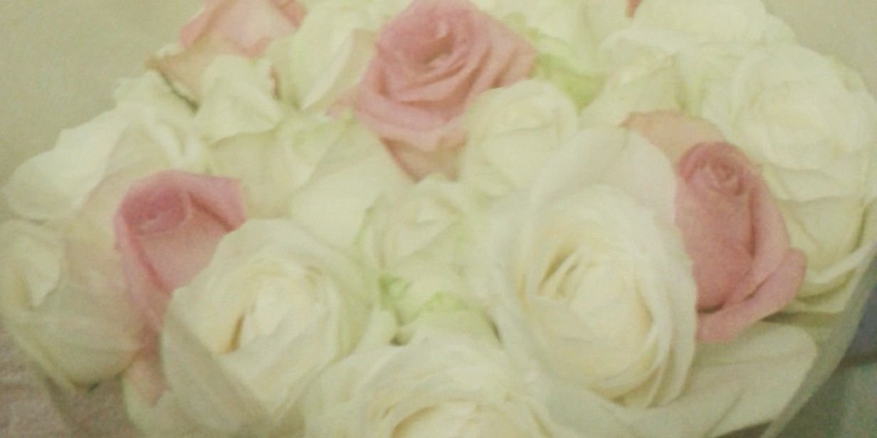 sindysinsen's profile banner image