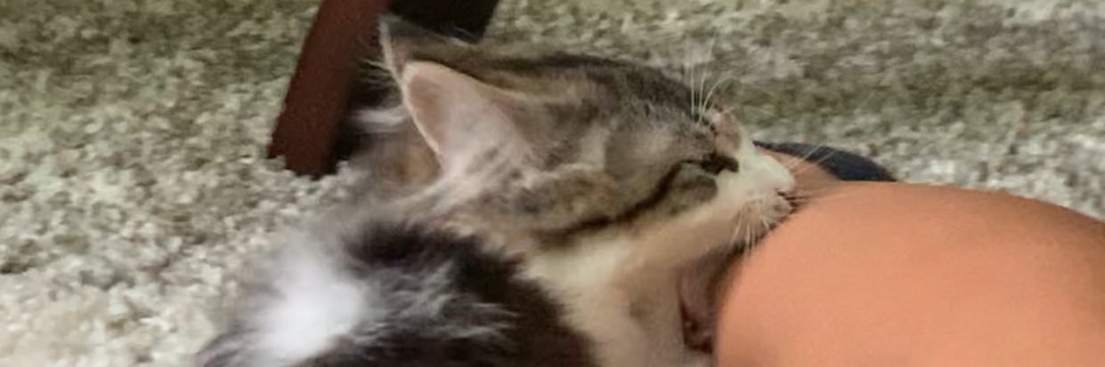 Valentinaaaa_21's profile banner image
