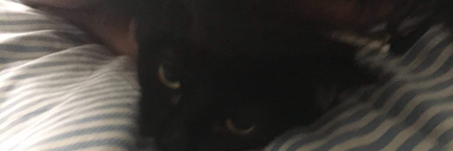 DrewsLeftNose's profile banner image
