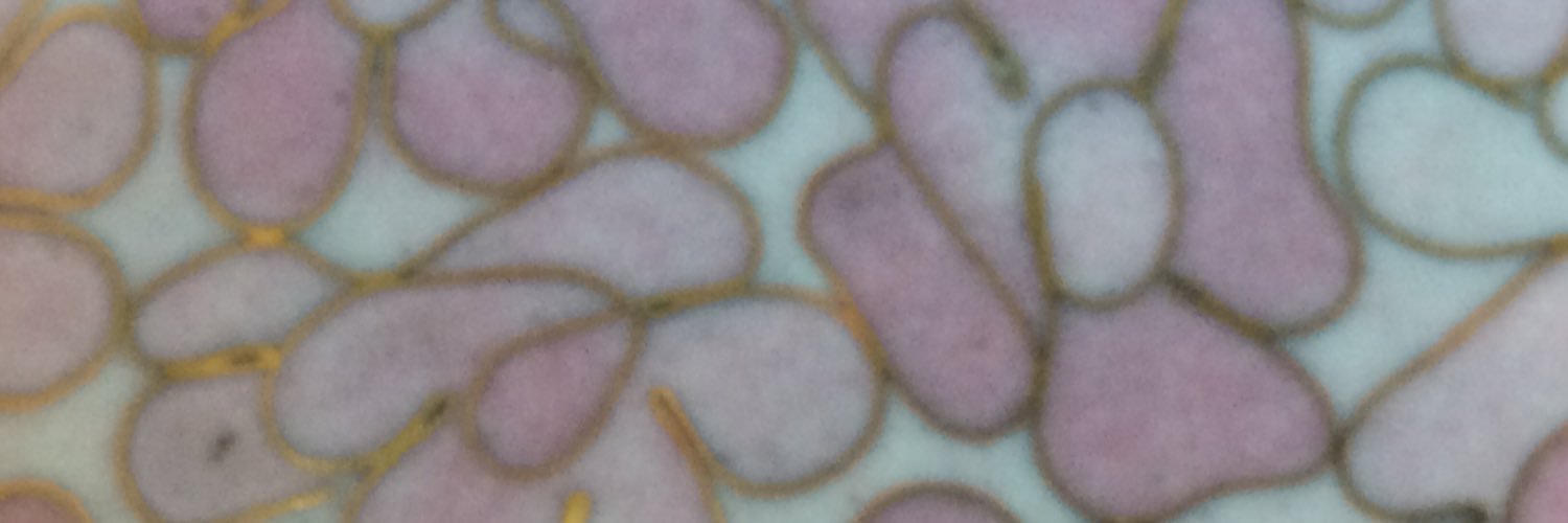 Kathleen Stamboni banner