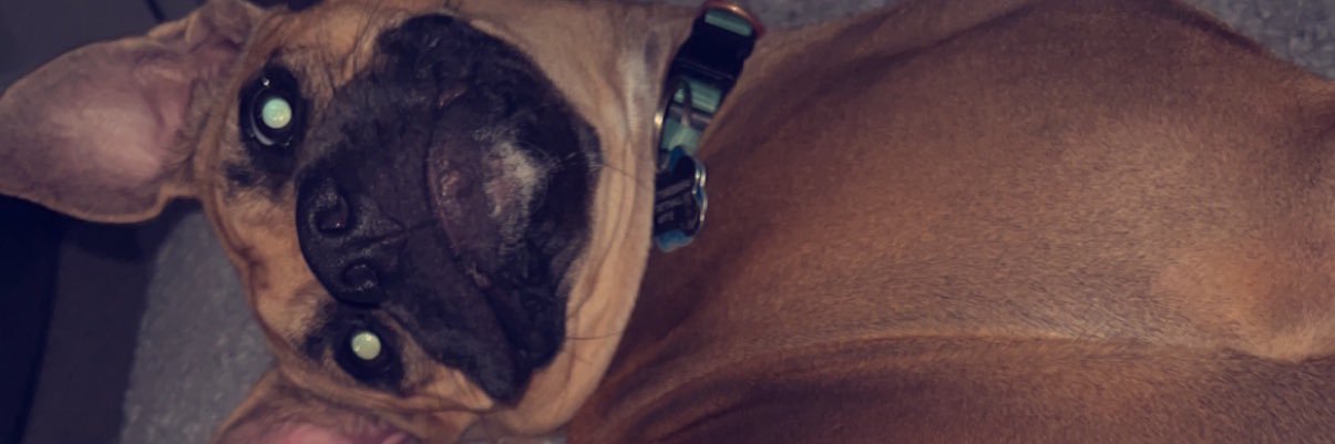 Mikefoscx's profile banner image