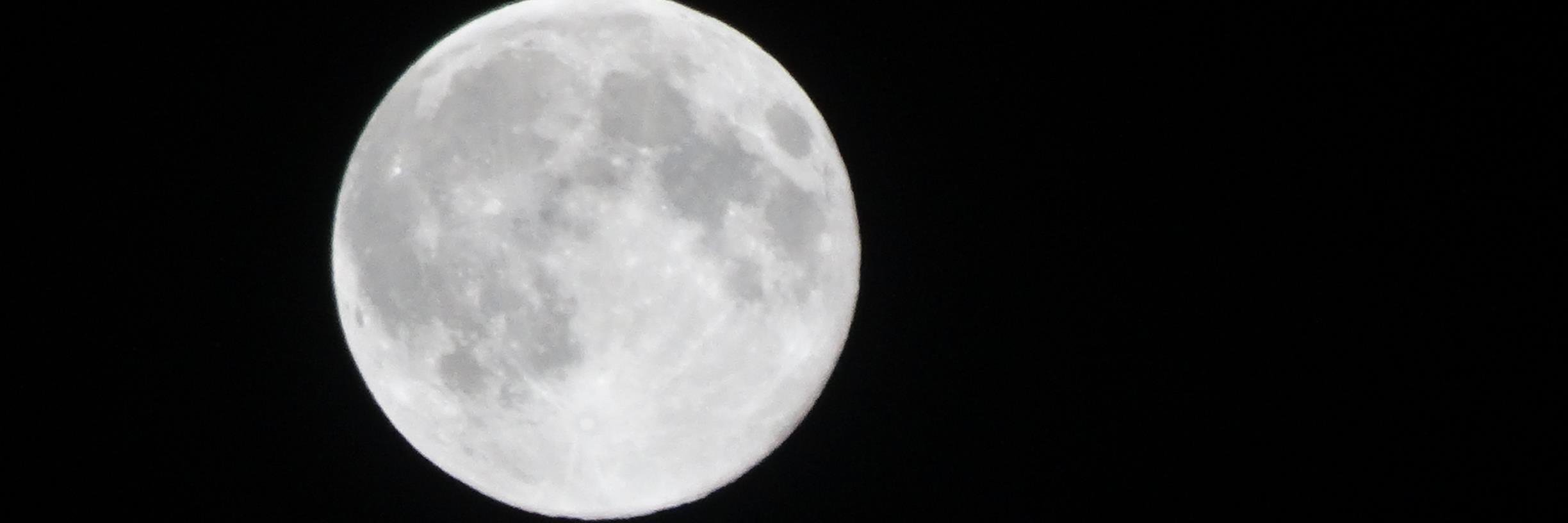 Mental Vanilla banner