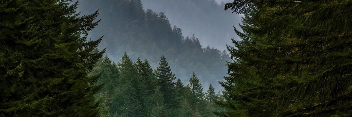 Livmccall12's profile banner image