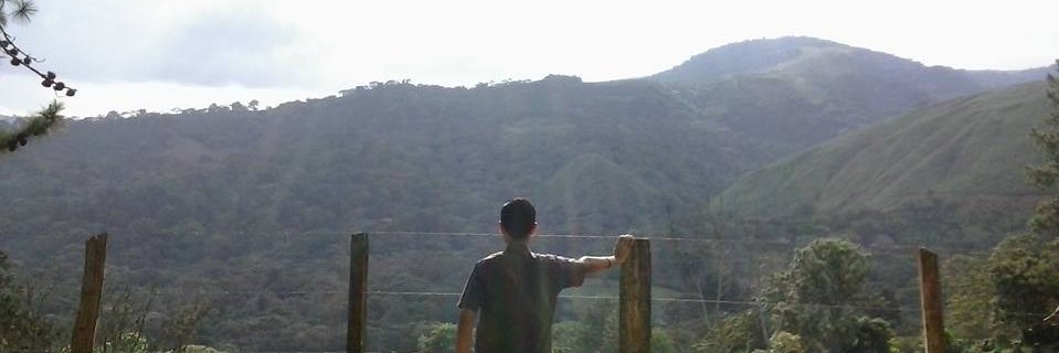 LuisAlek19's profile banner image