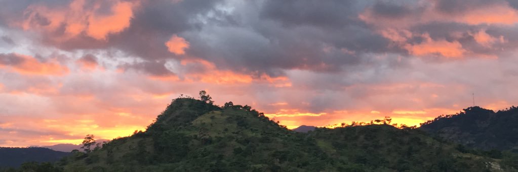 MauricioAI's profile banner image