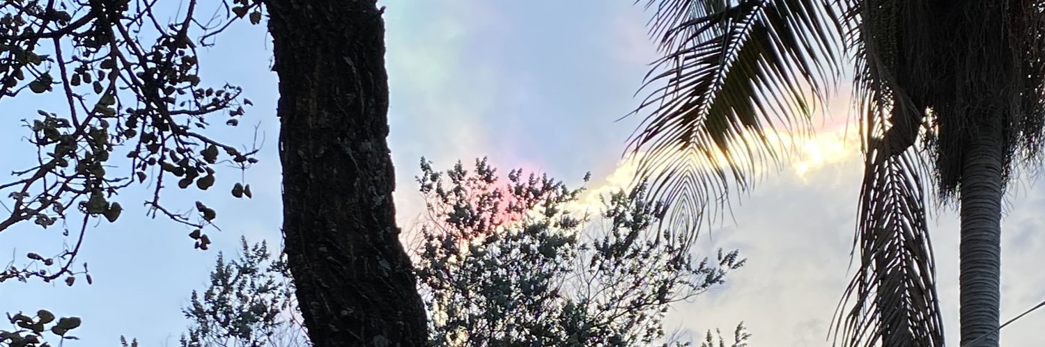 Achichi65's profile banner image