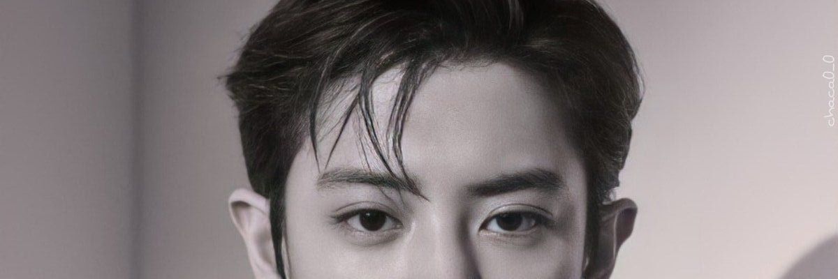 ditaamm's profile banner image