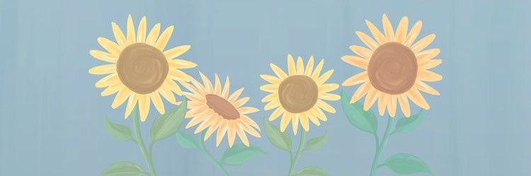 feerp27's profile banner image