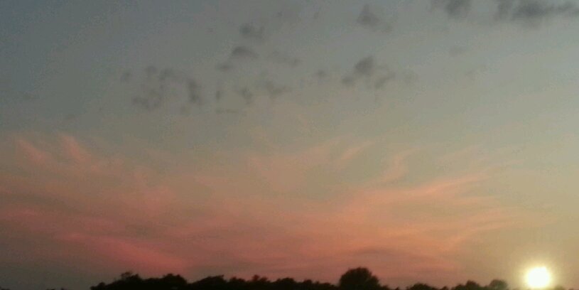 wooley_tyler's profile banner image