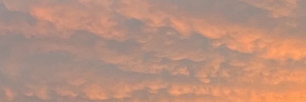 LexyBenedict Profile Banner