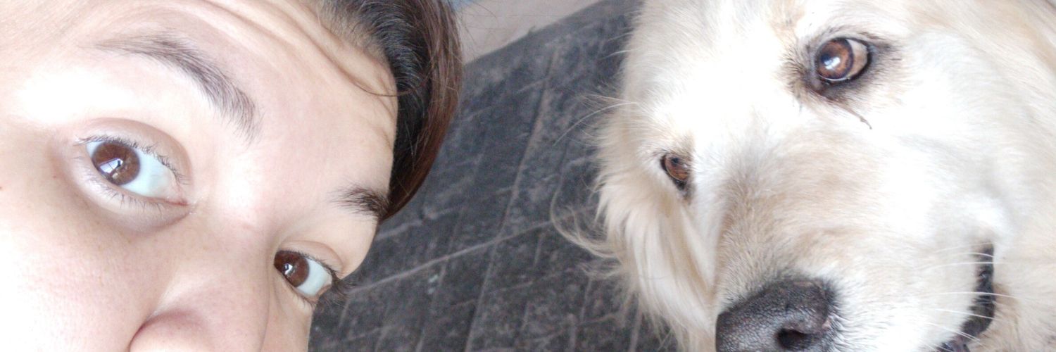 BelTekG's profile banner image