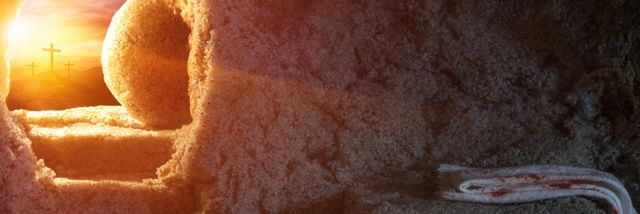 influYAmosOrg's profile banner image
