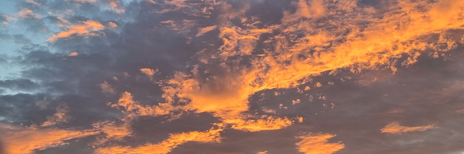 𝖓𝖊𝖙𝖎𝖘𝖆𝖚𝖗𝖚𝖘 ⎊ banner