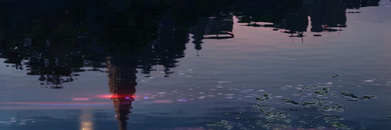 Manuel01Silva's profile banner image