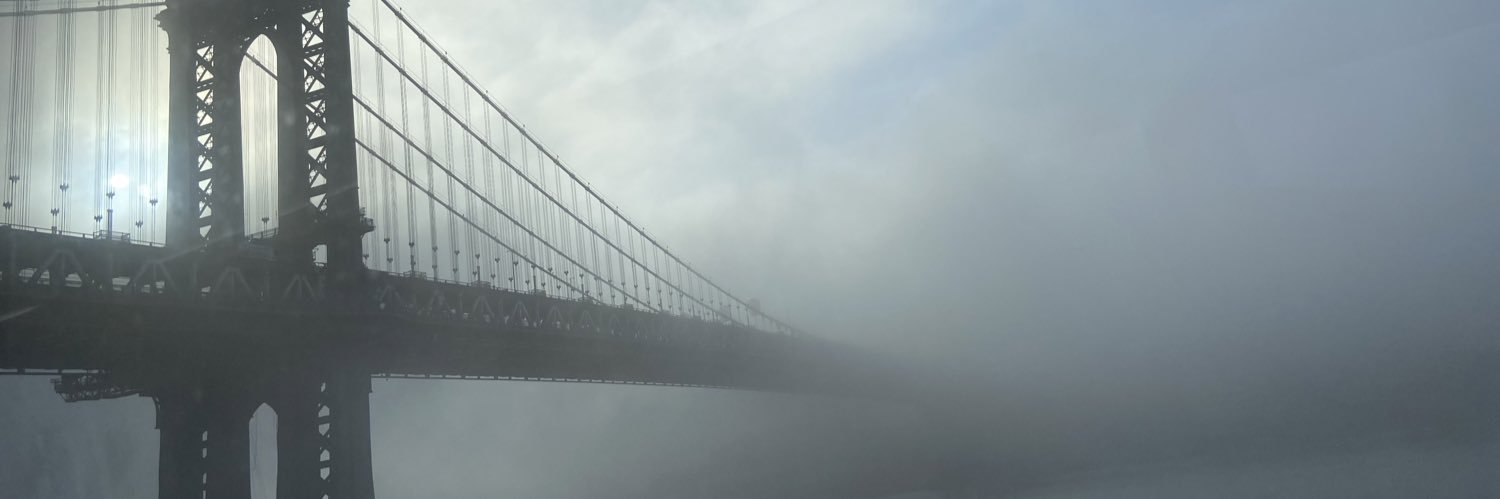 VNZNY's profile banner image