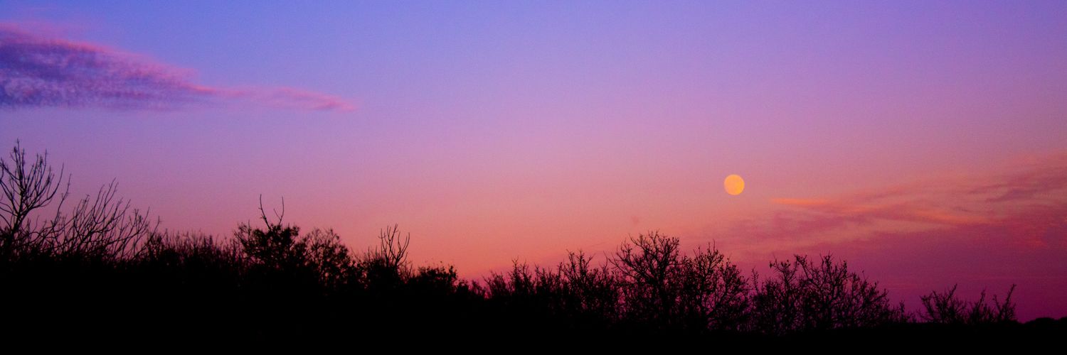 veer_jenga's profile banner image