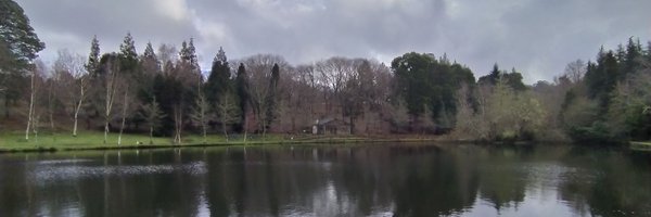 lipido Profile Banner