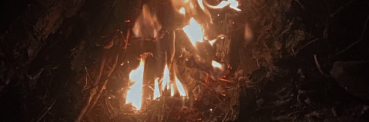 butthurtbeth's profile banner image