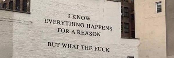 Henry of skalitz banner