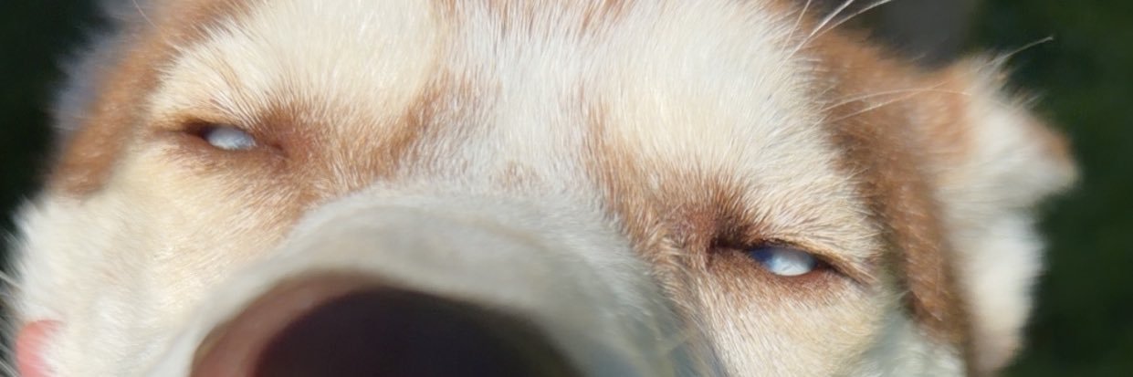 _its_cathy_'s profile banner image