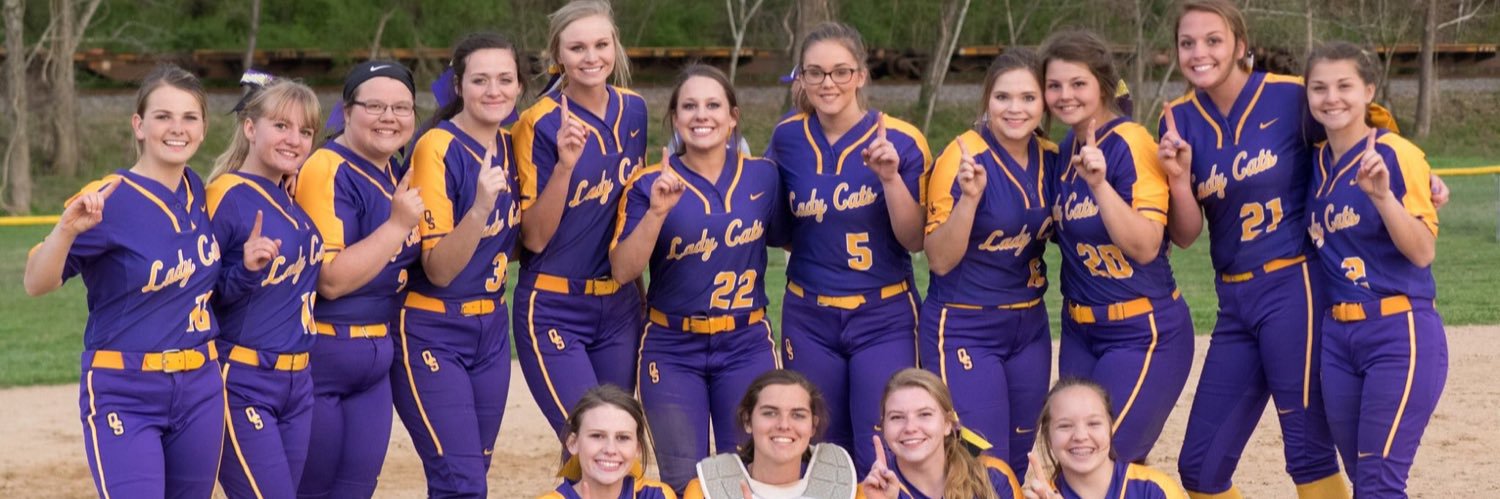 oshssoftball's profile banner image