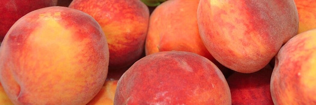 RidgwayMarket's profile banner image