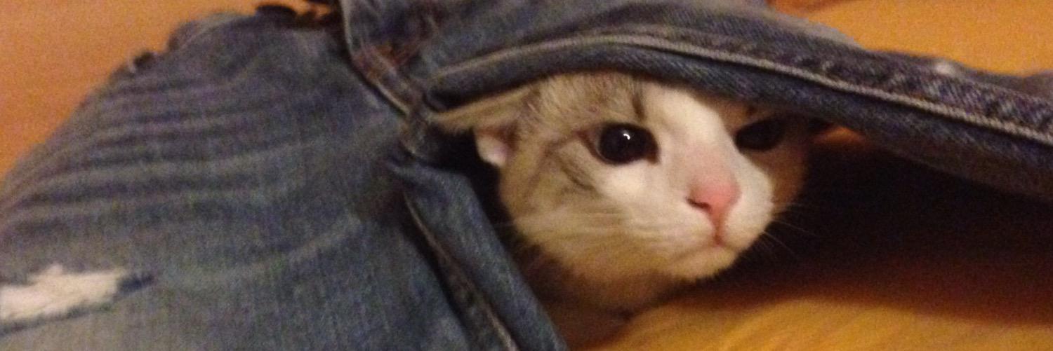 Davide Bergami banner