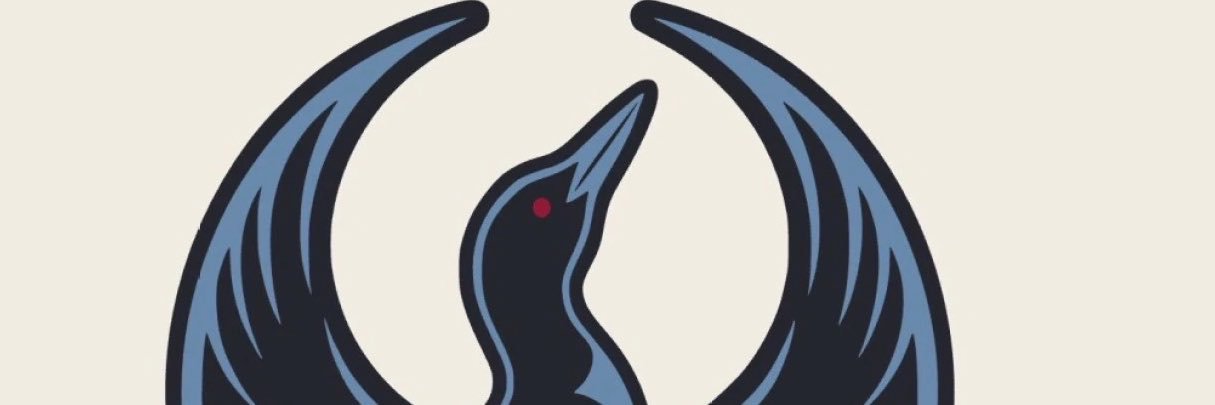 CaptMinn2026's profile banner image