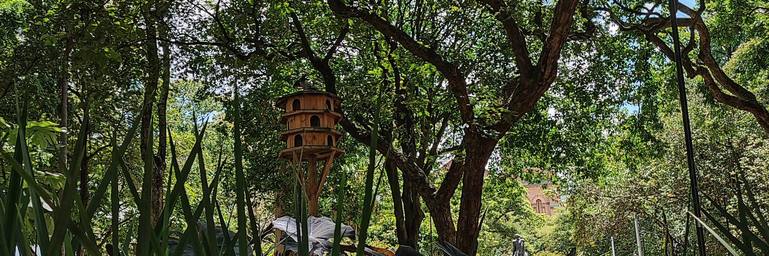 Robin Cordoba banner