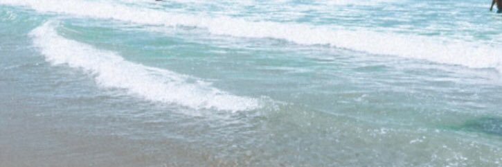 lourdesboado's profile banner image