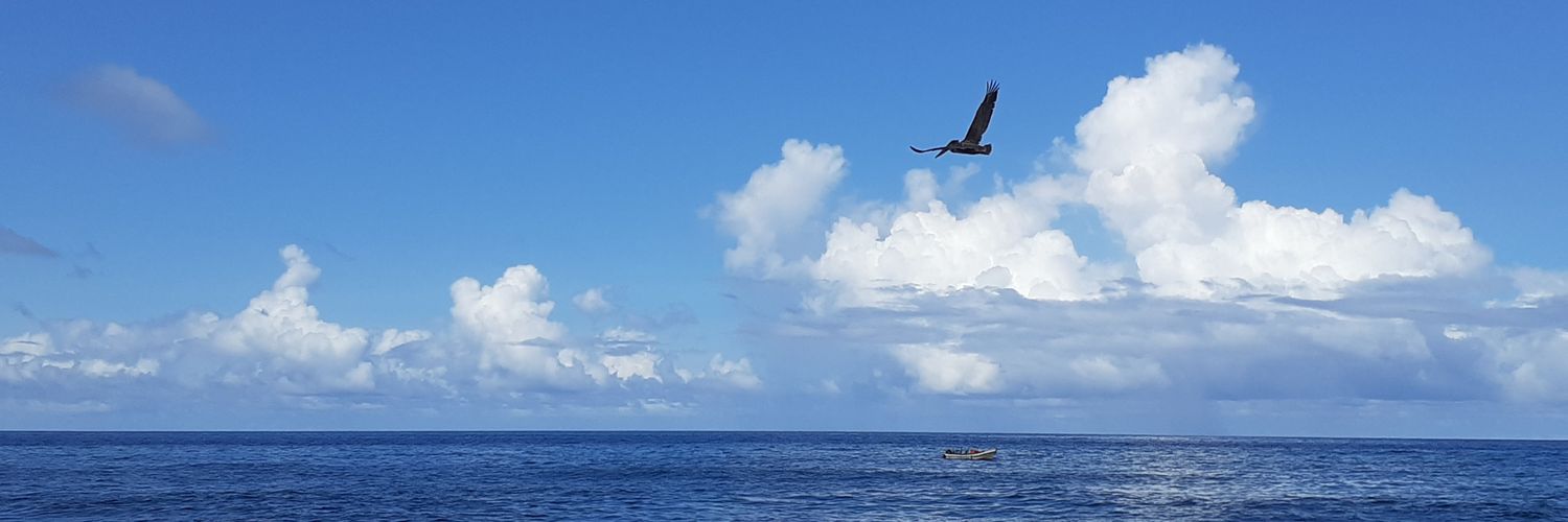 Amelia Earhart banner